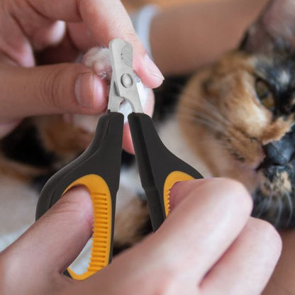 Coupe griffe pour chat - GRIFFACHAT™ - CHATS