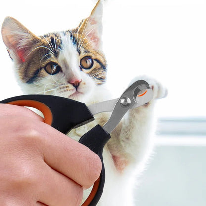 Coupe griffe pour chat - GRIFFACHAT™ - CHATS