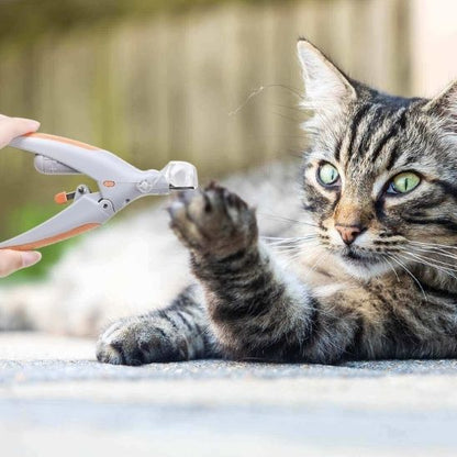 Coupe ongle chat - PINCEPOURCHAT™ - CHATS