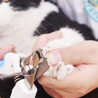 Coupe ongle pour chat - COUPEPOURCHAT™ - CHATS