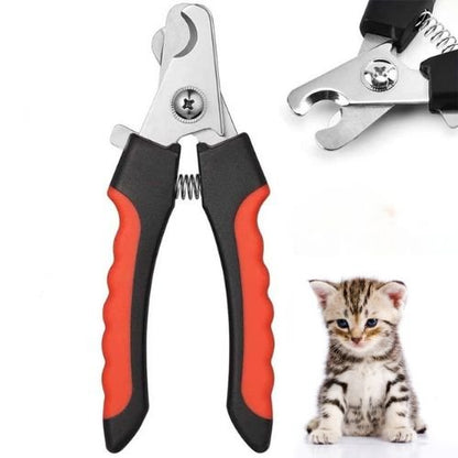 Coupe ongle pour chat - COUPEPOURCHAT™ - CHATS