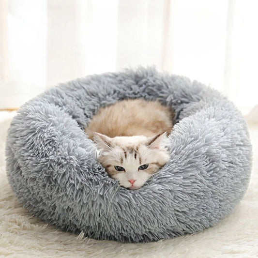 Coussin à chat - PELUCHEPOURCHAT™ - CHATS