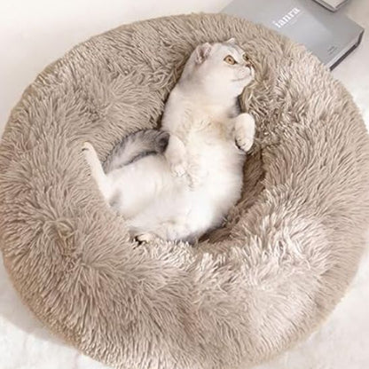 Coussin à chat - PELUCHEPOURCHAT™ - CHATS
