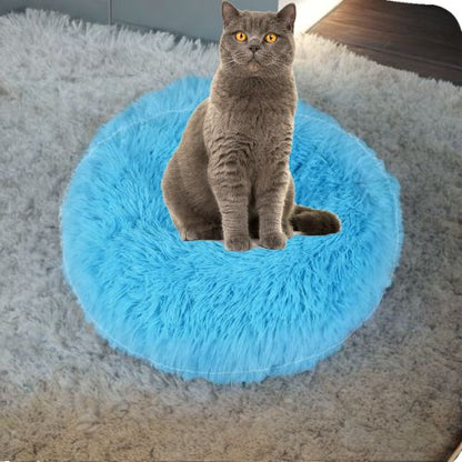 Coussin pour chat - MOELLEUCHAT™ - CHATS