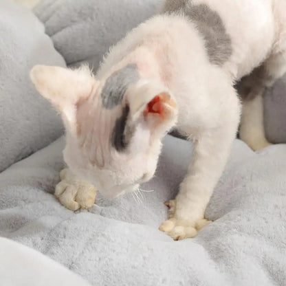 Coussin pour chat - PELUCHPOURCHAT™ - CHATS