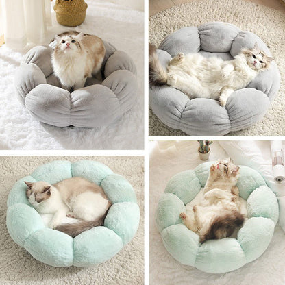 Coussin pour chat - PELUCHPOURCHAT™ - CHATS