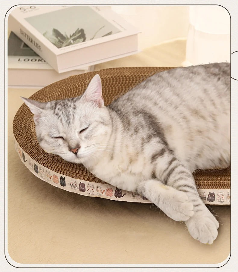 Griffoir pour chat - PANIER™