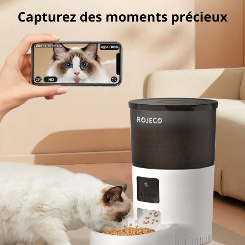 Distributeur de croquettes pour chat - DISTRIBUTEURVIDEOPOURCHAT™ - CHATS