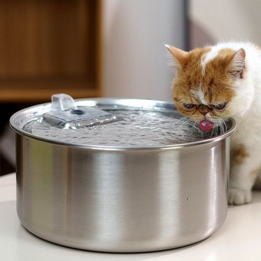 Fontaine a eau chat - AUTOMATIQUEPOURCHAT™ - CHATS