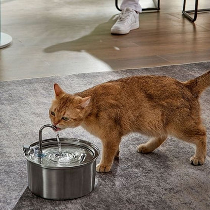 Fontaine a eau chat - AUTOMATIQUEPOURCHAT™ - CHATS