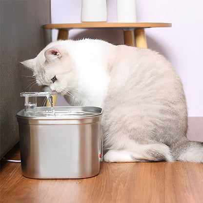 Fontaine a eau chat - CAPTEURPOURCHAT™ - CHATS