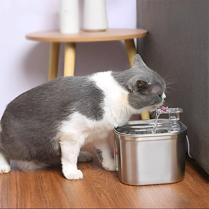 Fontaine a eau chat - CAPTEURPOURCHAT™ - CHATS