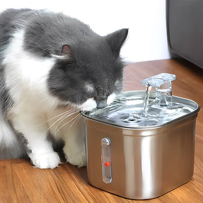 Fontaine a eau chat - CAPTEURPOURCHAT™ - CHATS
