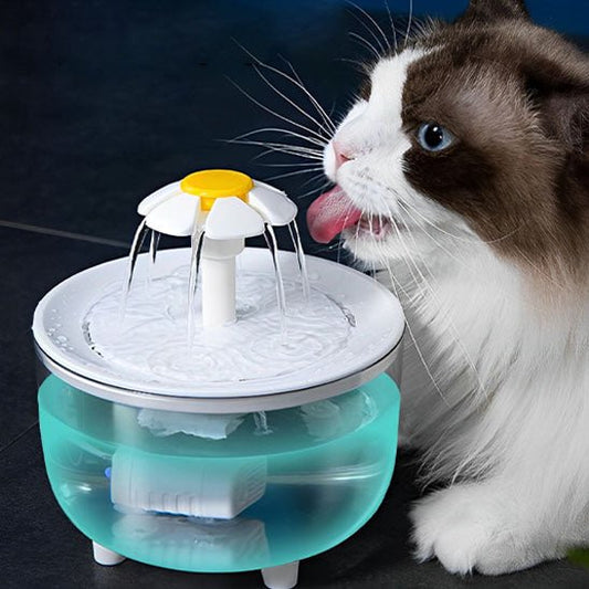 Fontaine a eau chat - CIRCULATIONPOURCHAT™ - CHATS