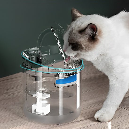 Fontaine a eau chat - DISTRIBUTEURPOURCHAT™ - CHATS