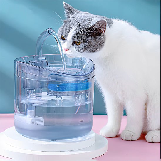 Fontaine a eau chat - DISTRIBUTEURPOURCHAT™ - CHATS