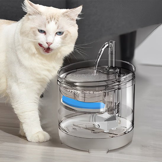 Fontaine a eau chat - DISTRIBUTEURPOURCHAT™ - CHATS