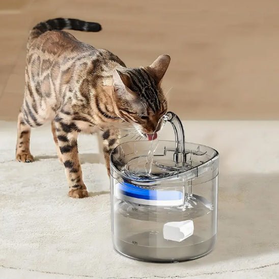Fontaine a eau chat - DISTRIBUTEURPOURCHAT™ - CHATS