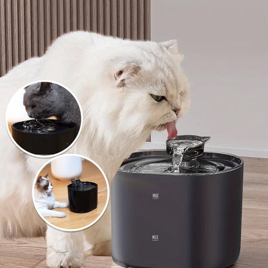 Fontaine à eau chat - RECIRCULATIONPOURCHAT™ - CHATS