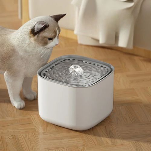 Fontaine à eau pour chat - ABREUVOIRACHAT™ - CHATS