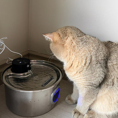 Fontaine à eau pour chat - PILEPOURCHAT™ - CHATS