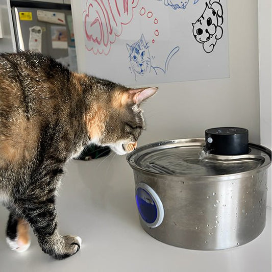 Fontaine à eau pour chat - PILEPOURCHAT™ - CHATS