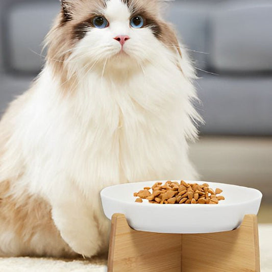 Gamelle anti glouton chat - BOLACHAT™ - CHATS
