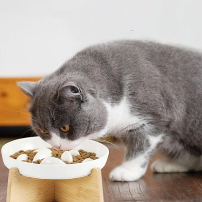 Gamelle anti glouton chat - BOLACHAT™ - CHATS