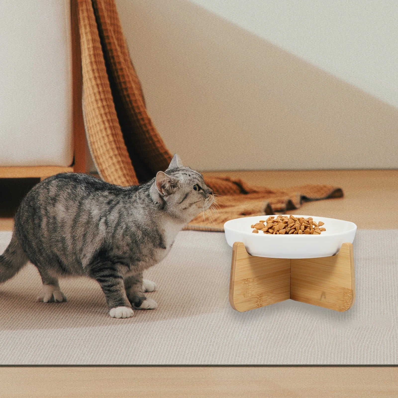Gamelle anti glouton chat - BOLACHAT™ - CHATS