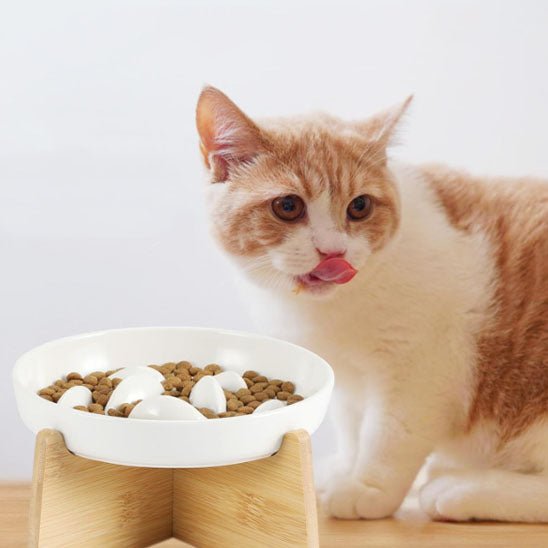 Gamelle anti glouton chat - BOLACHAT™ - CHATS