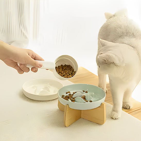 Gamelle anti glouton chat - BOLACHAT™ - CHATS