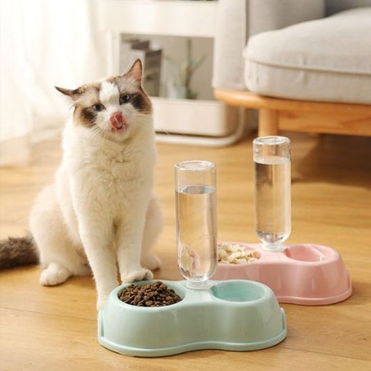 Gamelle chat - BOLCHAUDPOURCHAT™ - CHATS