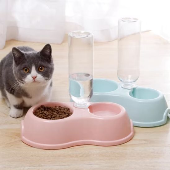Gamelle chat - BOLCHAUDPOURCHAT™ - CHATS