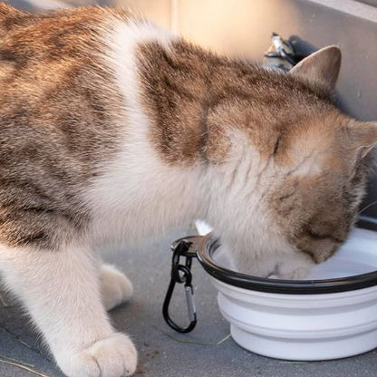 Gamelle chat - BOLPLIABLEPOURCHAT™ - CHATS
