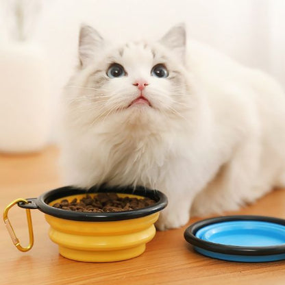 Gamelle chat - BOLPLIABLEPOURCHAT™ - CHATS
