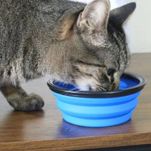 Gamelle chat - BOLPLIABLEPOURCHAT™ - CHATS