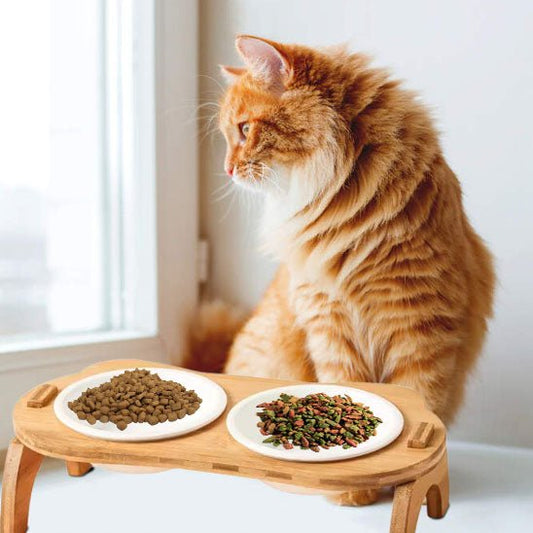 Gamelle chat surélevée - MANGEOIREPOURCHAT™ - CHATS