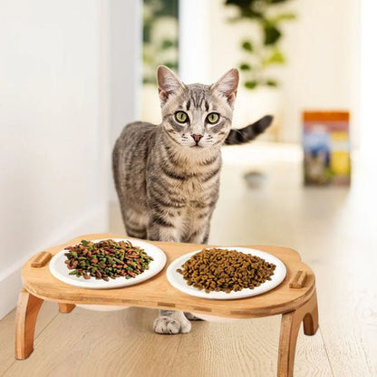 Gamelle chat surélevée - MANGEOIREPOURCHAT™ - CHATS
