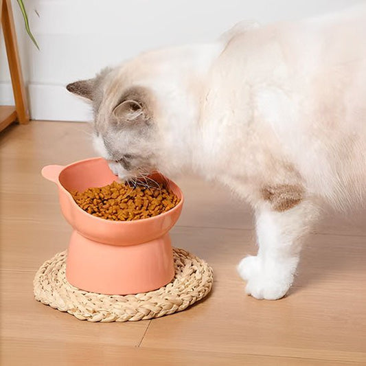 Gamelle chat surélevée - PROTECTEURDECOUPOURCHAT™ - CHATS