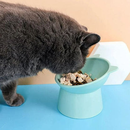 Gamelle chat surélevée - PROTECTEURDECOUPOURCHAT™ - CHATS