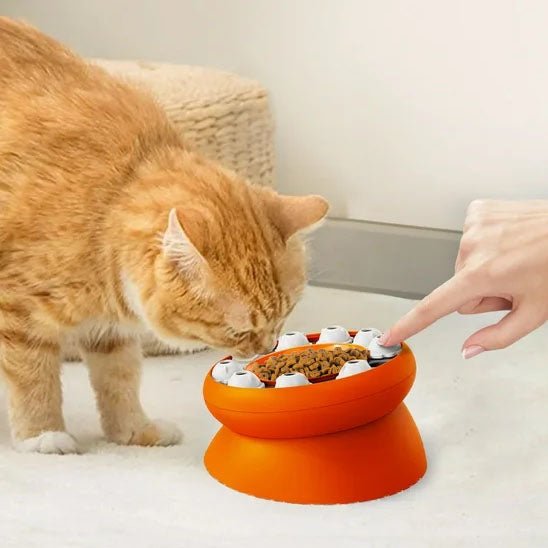 Gamelle chat surélevée - PUZZLEPOURCHAT™ - CHATS