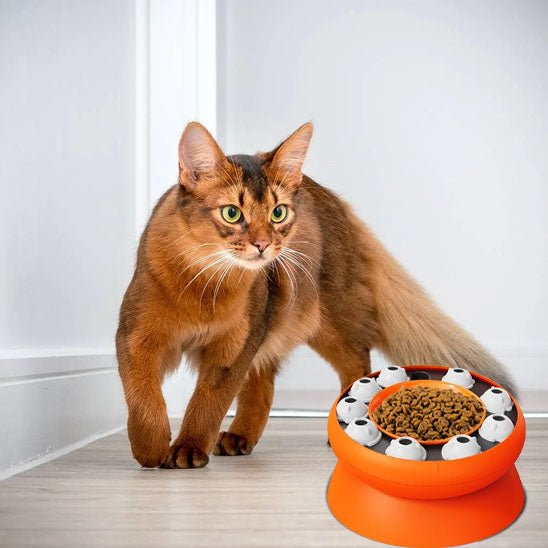 Gamelle chat surélevée - PUZZLEPOURCHAT™ - CHATS