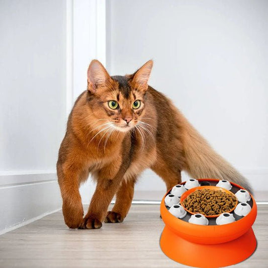Gamelle chat surélevée - PUZZLEPOURCHAT™ - CHATS