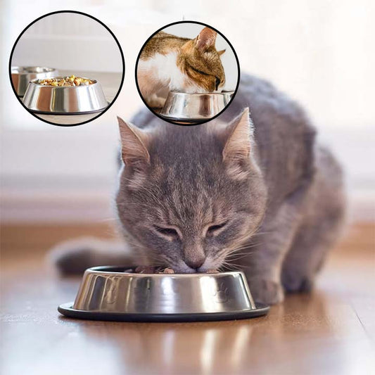 Gamelle pou rchat - INOXPOURCHAT™ - CHATS