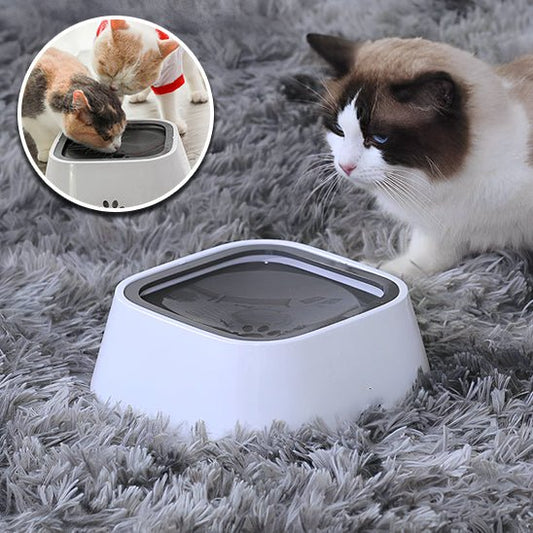 Gamelle pour chat - ANTIECLABOUSSURESPOURCHAT™ - CHATS