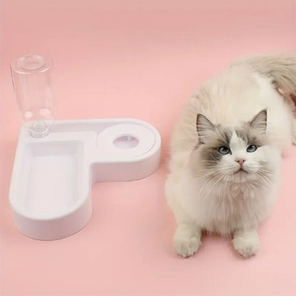 Gamelle pour chat - BASSINPOURCHAT™ - CHATS