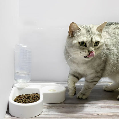 Gamelle pour chat - BASSINPOURCHAT™ - CHATS