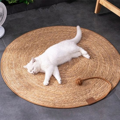 Grattoir chat - PAILLASSONPOURCHAT™ - CHATS