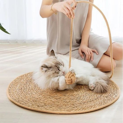 Grattoir chat - PAILLASSONPOURCHAT™ - CHATS