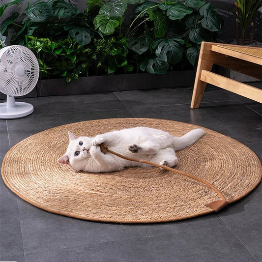 Grattoir chat - PAILLASSONPOURCHAT™ - CHATS